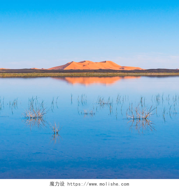 湖面风景照埃尔格切比的沙丘和湖上的反射。在摩洛哥撒哈拉沙漠梅尔祖加镇附近拍摄的风景照片